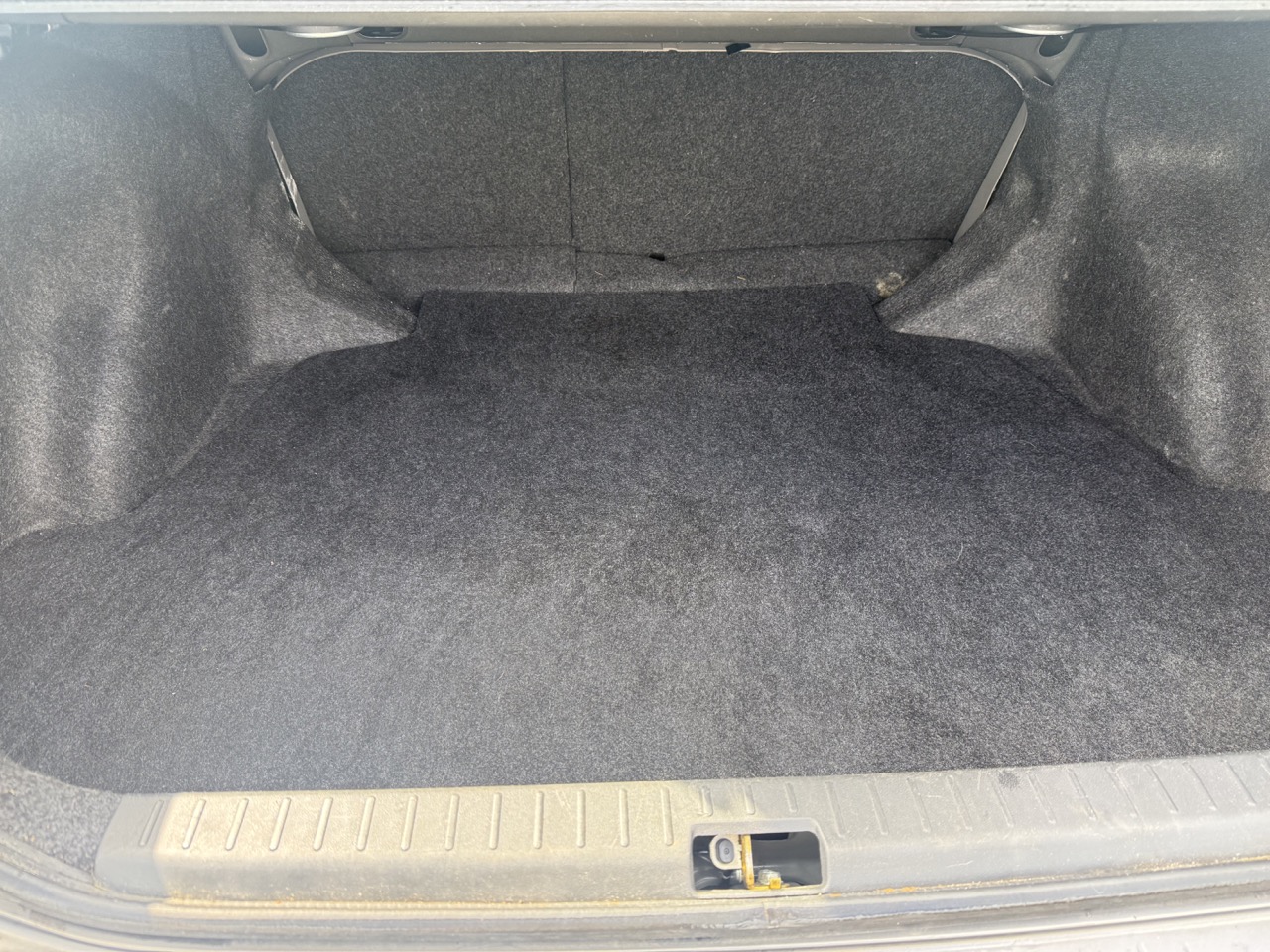 Trunk